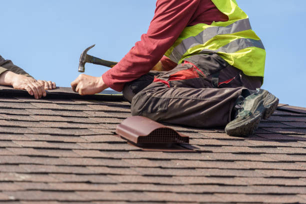 Best Roof Gutter Cleaning  in Pineville, KY